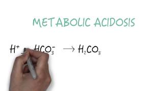 Bicarbonate  The Primary Buffer [upl. by Raul]