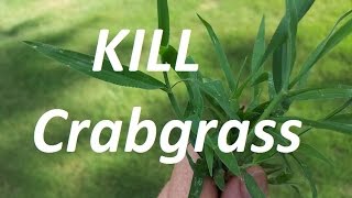 THE CRABGRASS CONTROL VIDEO  Pre and Post Emergent [upl. by Ateinotna]