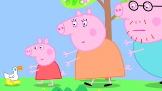 Peppa Pig Cant Find Her Golden Boots Peppa Pig Official Family Kids Cartoon [upl. by Mulcahy979]