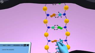 DNA Packaging and Cell Division 3D animation by Labster [upl. by Gillman]