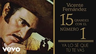 Vicente Fernández  Ya Lo Sé Que Tú Te Vas Tema Remasterizado Cover Audio [upl. by Aihsekram]