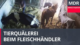 Vorwurf Tierquälerei Razzia bei Fleischhändler [upl. by Llerruj410]