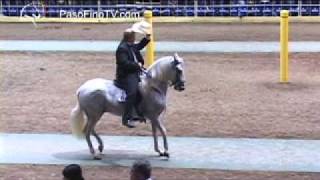 Ponce 2012 Caballos De Paso Fino 72 a 90 [upl. by Acitel105]