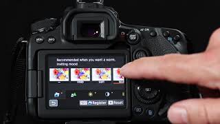 Canon 90D Instructions and the basics for use [upl. by Aelaza421]