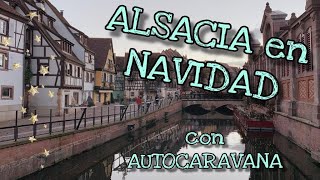 Viaje a la ALSACIA en AUTOCARAVANA en Navidad 17 [upl. by Jelene]