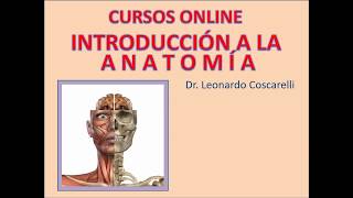 Curso introducción a la anatomía Módulo 1 pptx [upl. by Fording]