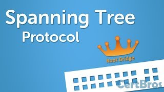 Spanning Tree Protocol Explained  Step by Step [upl. by Hairaza]