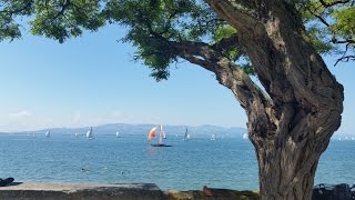 Der BodenseeRadweg Alle Infos zum Radweg und zu den Attraktionen am Bodensee [upl. by Ruskin]