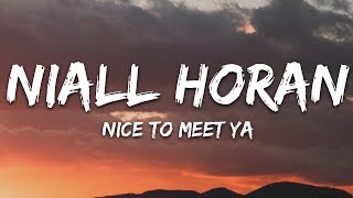 Niall Horan  Nice To Meet Ya Lyrics [upl. by Aydni643]