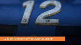 Addictions Counselor Core Skills Part I The 12 Core Functions [upl. by Ready733]