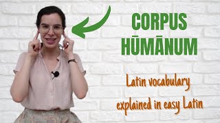 Latin vocabulary for beginners  Corpus humanum [upl. by Gerrald724]