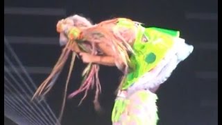 Videos of Lady Gaga Puking [upl. by Nibbs154]