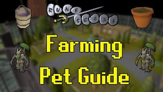 Old School RuneScape Farming Pet Guide FastestCheapest [upl. by Bopp275]