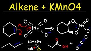 Alkene  KMnO4 Reaction [upl. by Yenttirb782]