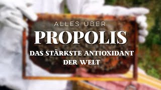 PROPOLIS  WUNDERMITTEL  WAS DU WISSEN SOLLTEST [upl. by Fredericka]