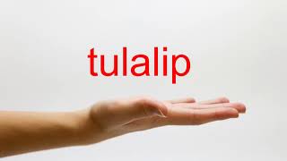 How to Pronounce tulalip  American English [upl. by Berkly]