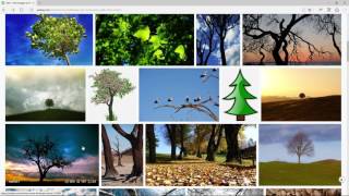 Finding Images with Pixabay [upl. by Buck612]