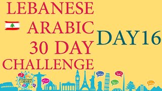 LEBANESE ARABIC BEGINNERS LESSON  LEVANTINE ARABIC  DIALECT  PHRASES AND SENTENCES DAY 16 [upl. by Eindys]