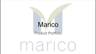 Marico Stock Analysis MARICO Product Portfolio [upl. by Hairym826]