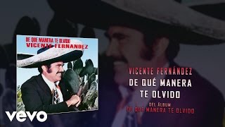 Vicente Fernández  De Qué Manera Te Olvido Audio [upl. by Cornwell]