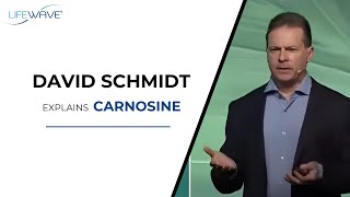 David Schmidt Explains Carnosine [upl. by Ityak]