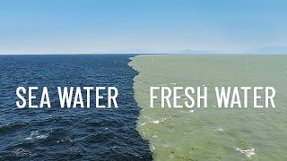 Fresh Water Meets Sea Water – Boundary Explained [upl. by Theodosia]