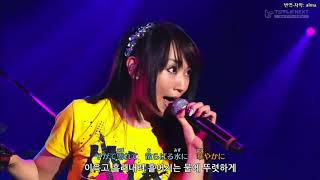 Nana Mizuki x T M Revolution  Preserved Roses live [upl. by Alo492]