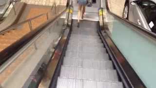 Schindler Escalators Near Sears Woodfield Mall In Schaumburg IL [upl. by Eihcra169]