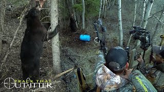 Best Bear Hunt with a Bow  518Lb Canadian Giant Crosstrails Adventures [upl. by Silecara]