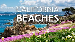 Top 10 Beaches in California [upl. by Nasas816]