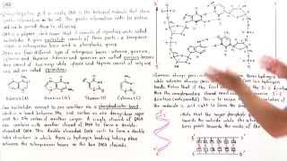 Introduction to DNA [upl. by Iver]