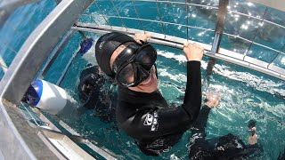 Shark Cage Diving in South Africa [upl. by Edora375]