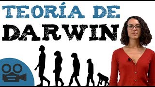 Teoría darwinista  Teoría de DARWIN [upl. by Barden980]