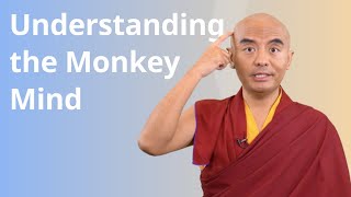 Understanding the Monkey Mind with Yongey Mingyur Rinpoche [upl. by Rehtae654]