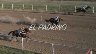 EL PADRINO  GRUPO LABERINTO [upl. by Samuelson]