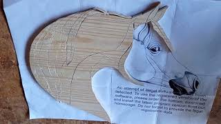 intarsia wood horse  part 1 [upl. by Albric]