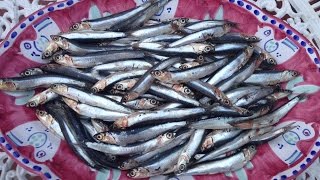 How to make Salted Anchovies  Pasta Grannies [upl. by Laenahtan]