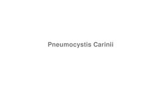 How to Pronounce quotPneumocystis Cariniiquot [upl. by Ludwog]