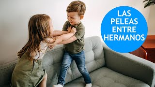 Peleas entre hermanos  ¿Cómo actuar [upl. by Curr]