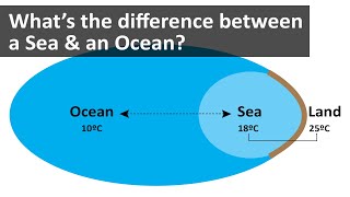 Whats the difference between a Sea amp an Ocean [upl. by Atinit]