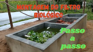 Como Montar Filtro Biológico Para Tanque de Peixes [upl. by Naresh]