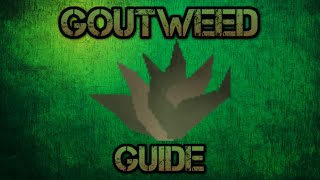 OSRS How to get Goutweed [upl. by Saravat]