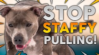 STAFFORDSHIRE BULL TERRIER TRAINING How To Stop Your Staffy From Pulling On Walks [upl. by Beard]