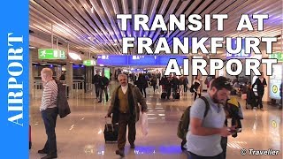 TRANSIT WALK AT FRANKFURT Airport FRA Terminal 1  Connection Flight Transfer Arriving amp Departing [upl. by Arahsak]