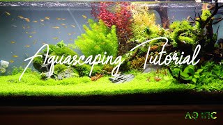 Step by Step Aquascaping Tutorial 200L [upl. by Priestley45]