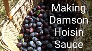 Making Damson Hoisin Sauce [upl. by Annoif]