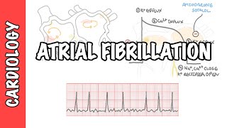 Atrial Fibrillation Overview  ECG types pathophysiology treatment complications [upl. by Yule]