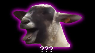 15 Screaming Goat Sound Variations in 30 Seconds [upl. by Eidok]