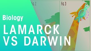 Theories of evolution Lamarck vs Darwin  Evolution  Biology  FuseSchool [upl. by Ariad]