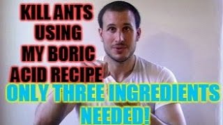 How to Kill Ants Using My Homemade Boric Acid Recipe  Only Three Ingredients Needed [upl. by Redford401]